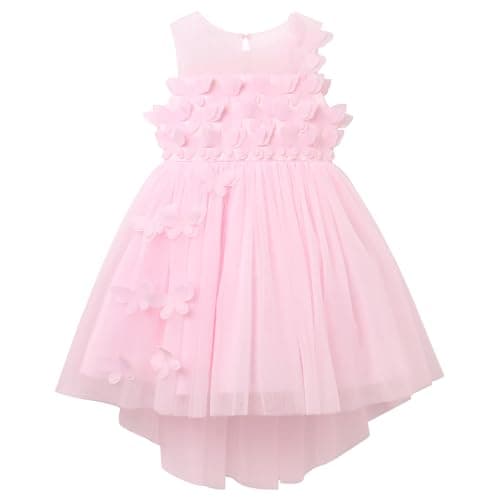 AWIBMK 3D Butterfly Tulle Tutu Dress for Baby Girls Birthday Party