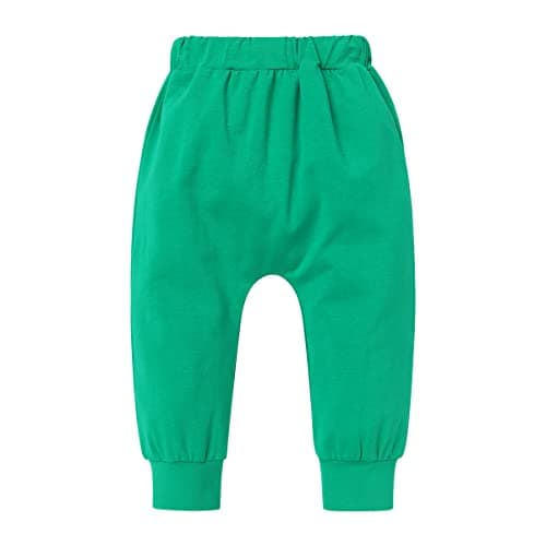 Baby Boys Dinosaur Birthday Outfit