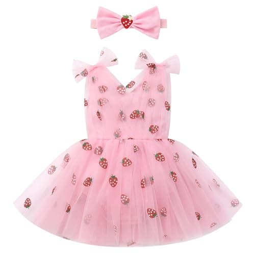 IMEKIS Pink Heart Strawberry Tulle Dress for Baby Girl Birthday Shoot