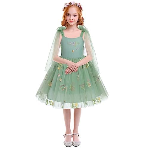 Flower Girls Butterfly Dress: Toddler Baby Embroidery Tulle Gown