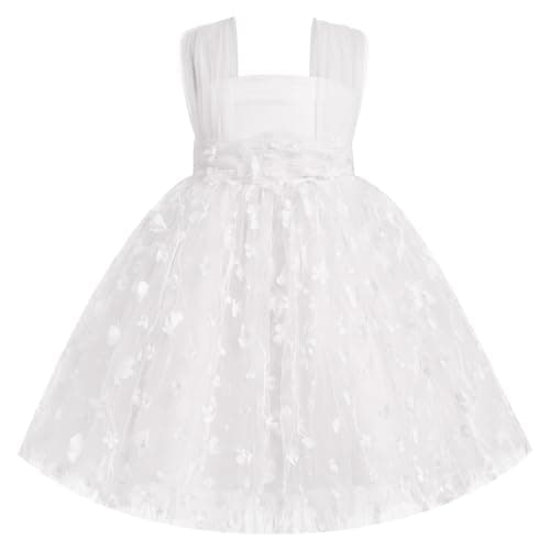 AWIBMK 3D Butterfly Tulle Tutu Dress for Baby Girls Birthday Party