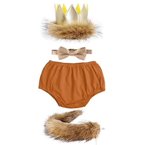 Wild ONE Lion Cake Smash Birthday Outfit for Baby Boys