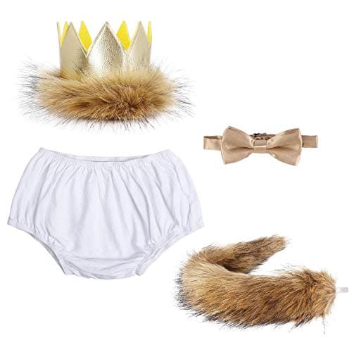 Wild ONE Lion Cake Smash Birthday Outfit for Baby Boys
