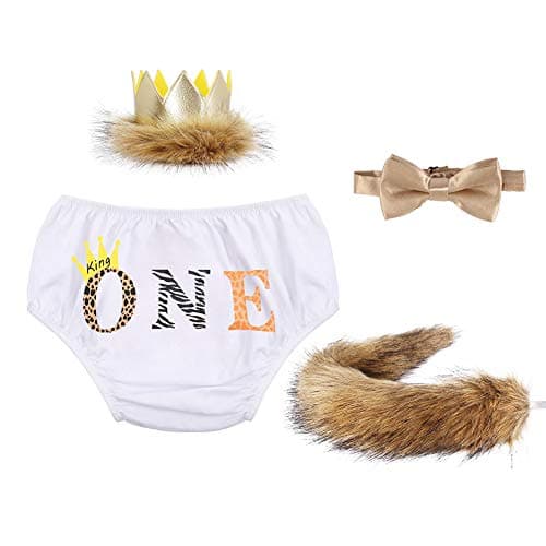 Wild ONE Lion Cake Smash Birthday Outfit for Baby Boys