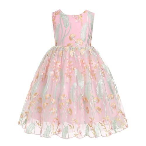 IMEKIS Girls Embroidered Flower Sleeveless Tulle Party Dress 3-10T