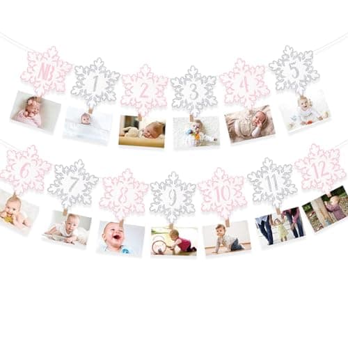 Onsembled DOMOO OF DREAMS Silver Winter Snowflake Photo Banner 12 Month First Birthday Decorations