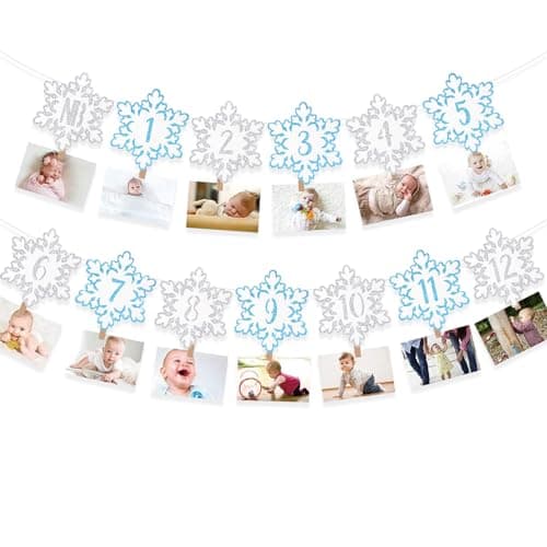 Onsembled DOMOO OF DREAMS Silver Winter Snowflake Photo Banner 12 Month First Birthday Decorations