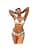 Women Rave Rainbow Mesh See Through Bikini Cover Ups Sexy Sleeveless Hollow Out Bodycon Midi Dress Festival Outfit