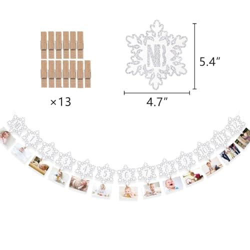Onsembled DOMOO OF DREAMS Silver Winter Snowflake Photo Banner 12 Month First Birthday Decorations