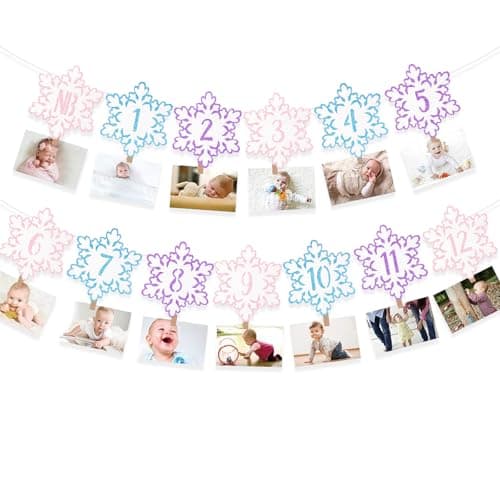 Onsembled DOMOO OF DREAMS Silver Winter Snowflake Photo Banner 12 Month First Birthday Decorations