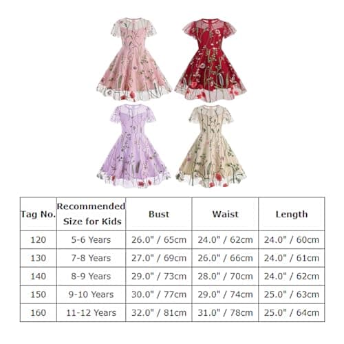 Vintage Floral Embroidered Mesh Dress