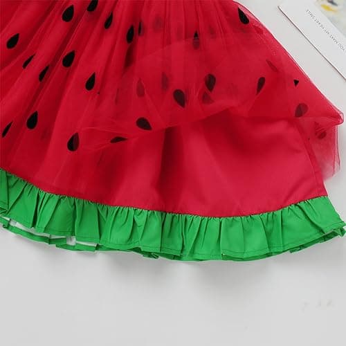 Mouse Birthday Princess Costume for Toddler Kid Girl