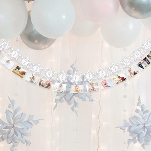 Onsembled DOMOO OF DREAMS Silver Winter Snowflake Photo Banner 12 Month First Birthday Decorations