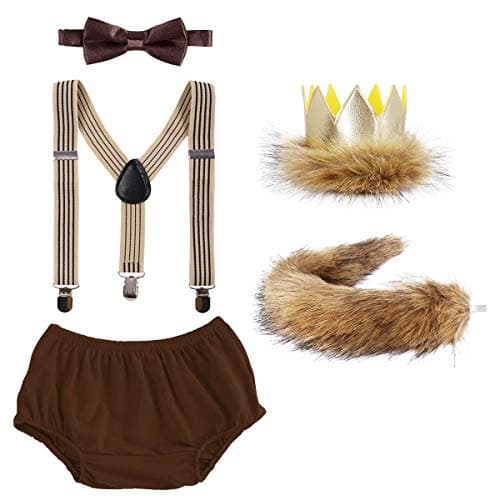 Wild ONE Lion Cake Smash Birthday Outfit for Baby Boys
