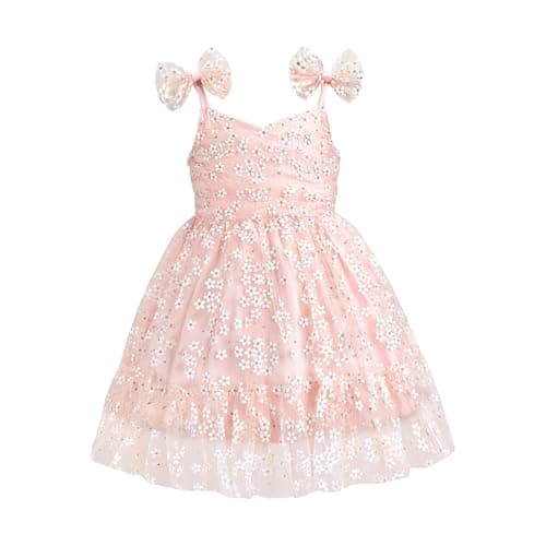 Princess Birthday Dress for Toddler Girls