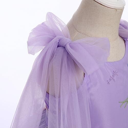 Flower Girls Butterfly Dress: Toddler Baby Embroidery Tulle Gown