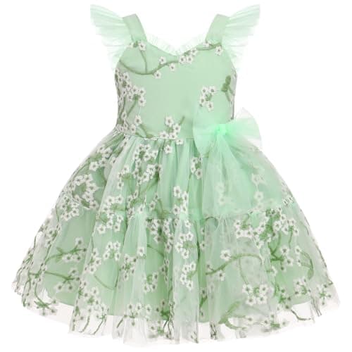 Toddler Girls Strawberry Floral Tulle Birthday Dress