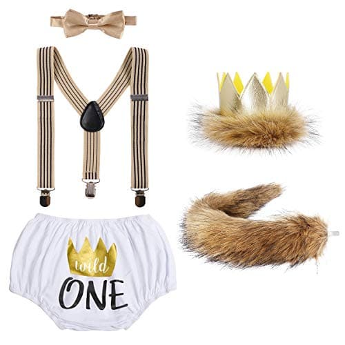 Wild ONE Lion Cake Smash Birthday Outfit for Baby Boys
