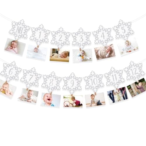 Onsembled DOMOO OF DREAMS Silver Winter Snowflake Photo Banner 12 Month First Birthday Decorations