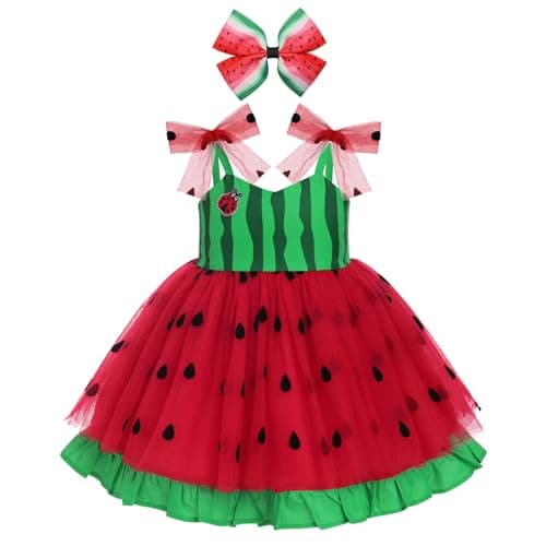 Mouse Birthday Princess Costume for Toddler Kid Girl