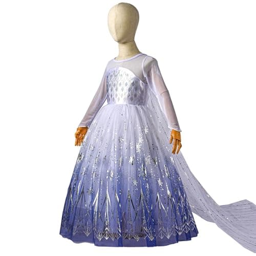 Snow Princess Dress Halloween Costume for Toddler Kids with Accessories