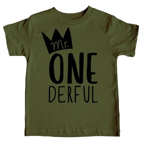 Mr One-Derful Baseball Tee Shirt for Boys 1st Birthday