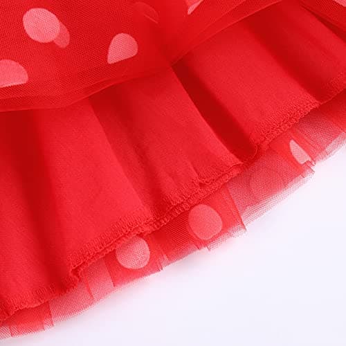IMEKIS Baby Girls Polka Dots Tulle Tutu Dress for 1st 2nd Birthday Party