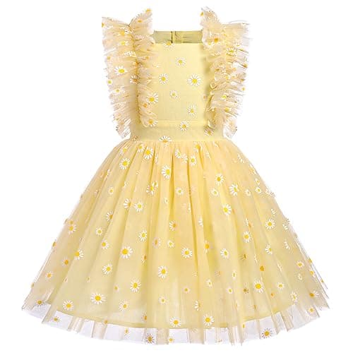 Girls Confetti Birthday Princess Dress