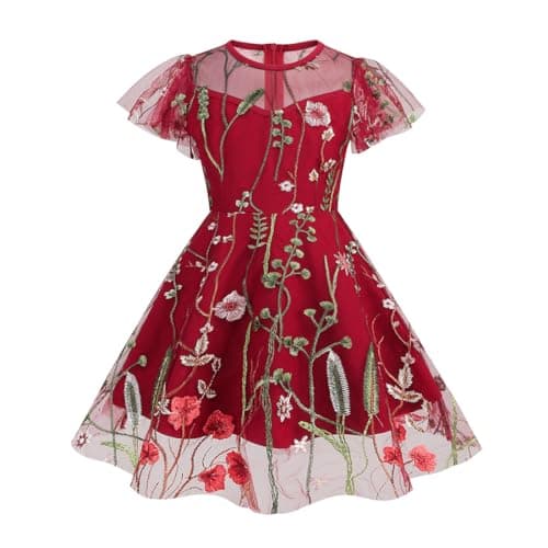 Vintage Floral Embroidered Mesh Dress