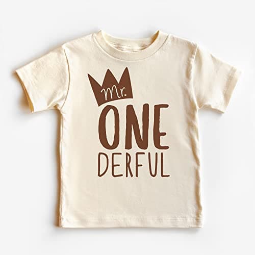 Mr One-Derful Baseball Tee Shirt for Boys 1st Birthday