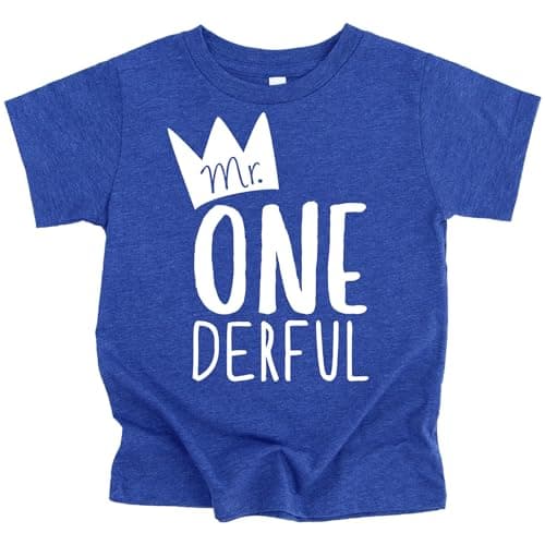 Mr One-Derful Baseball Tee Shirt for Boys 1st Birthday