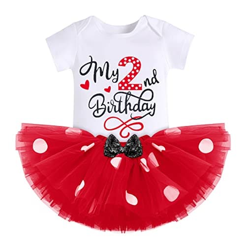 Baby Girl Mouse Birthday Outfit for 1st and 2nd Birthday Cake Smash