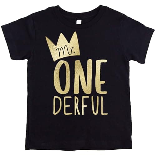 Mr One-Derful Baseball Tee Shirt for Boys 1st Birthday