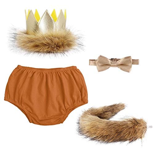Wild ONE Lion Cake Smash Birthday Outfit for Baby Boys
