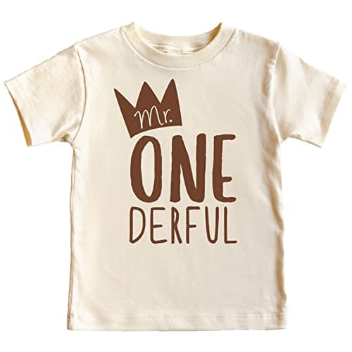 Mr One-Derful Baseball Tee Shirt for Boys 1st Birthday