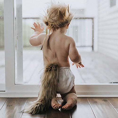 Wild ONE Lion Cake Smash Birthday Outfit for Baby Boys