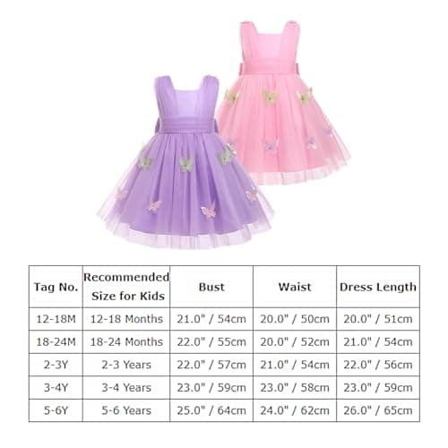 Toddler Girls' Butterfly Tulle Dress for Birthday and Special Occasions