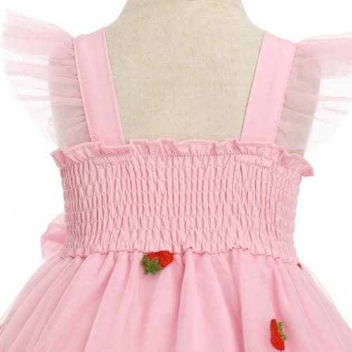 Toddler Girls Strawberry Floral Tulle Birthday Dress