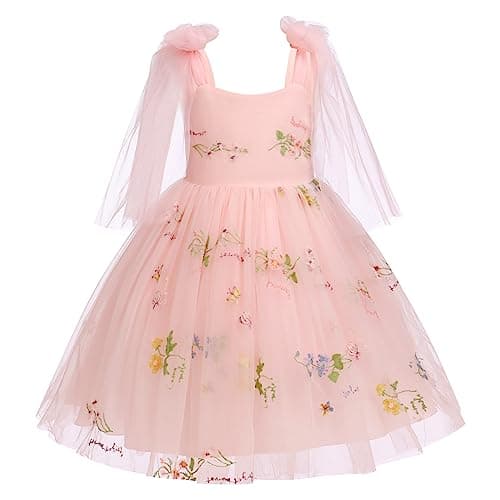 Flower Girls Butterfly Dress: Toddler Baby Embroidery Tulle Gown
