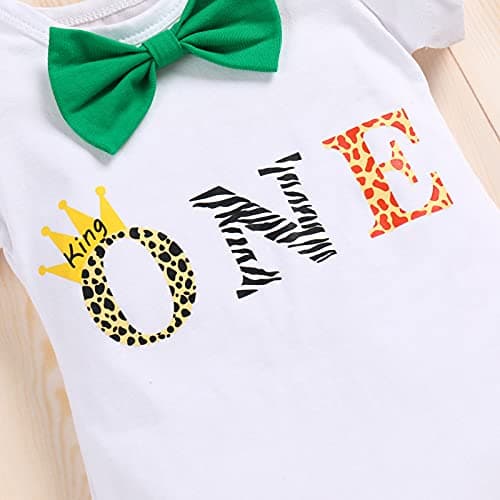 Baby Boys Dinosaur Birthday Outfit