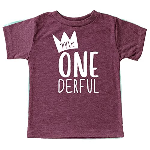 Mr One-Derful Baseball Tee Shirt for Boys 1st Birthday