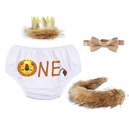 Wild ONE Lion Cake Smash Birthday Outfit for Baby Boys