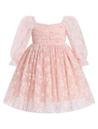 Toddler Girl Birthday Dress with Floral Print and Long Sleeves