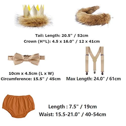 Wild ONE Lion Cake Smash Birthday Outfit for Baby Boys