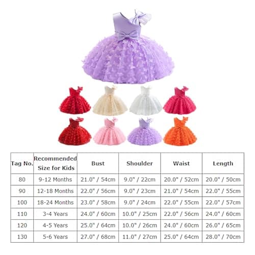 Butterfly Tutu Dress for Toddler Girls