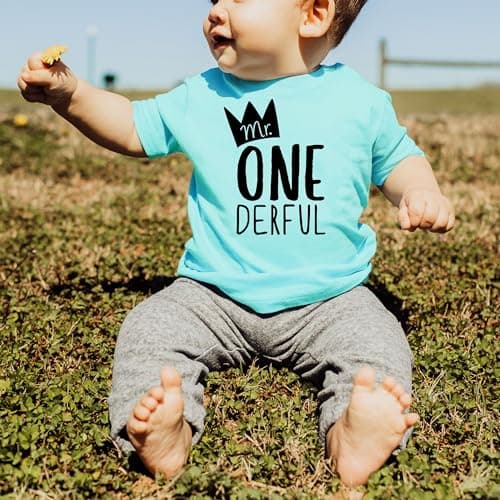 Mr One-Derful Baseball Tee Shirt for Boys 1st Birthday