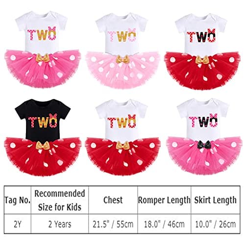 Baby Girl Mouse Birthday Outfit for 1st and 2nd Birthday Cake Smash