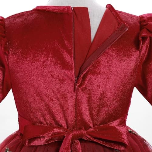 IMEKIS Embroidered Floral Velvet Dress for Toddler Girl Fall Winter 3-12T