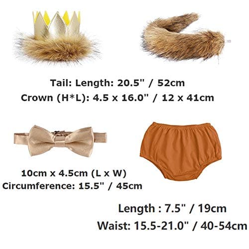 Wild ONE Lion Cake Smash Birthday Outfit for Baby Boys