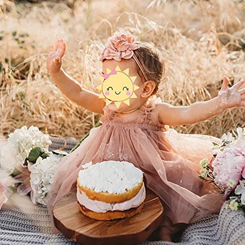 Toddler Baby Girl Princess Tutu Dress